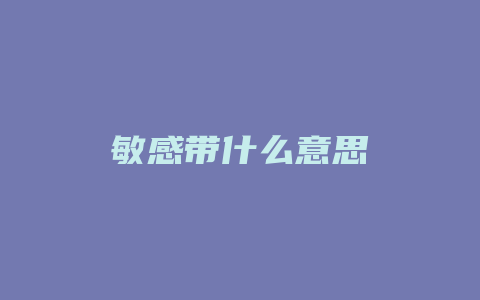 敏感带什么意思