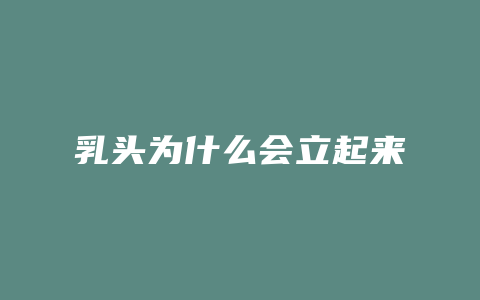 乳头为什么会立起来