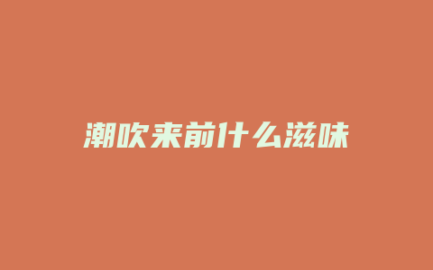 潮吹来前什么滋味