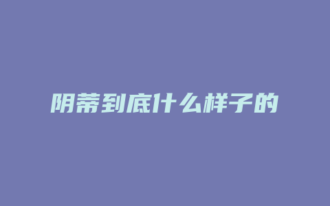 阴蒂到底什么样子的