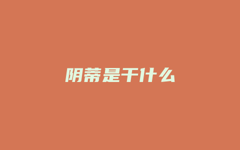 阴蒂是干什么