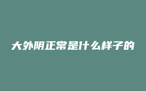 大外阴正常是什么样子的