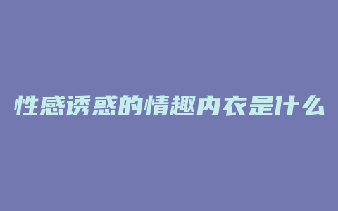 性感诱惑的情趣内衣是什么样的