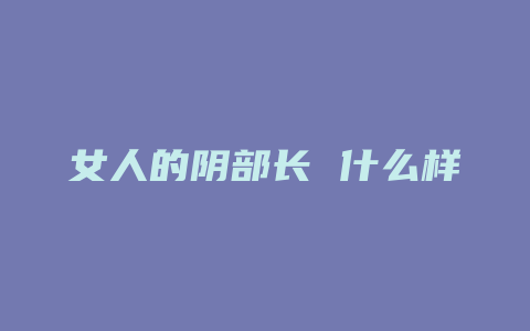 女人的阴部长 什么样