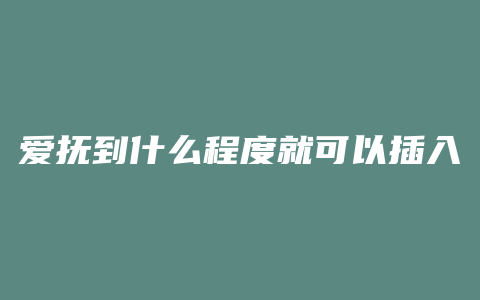 爱抚到什么程度就可以插入了