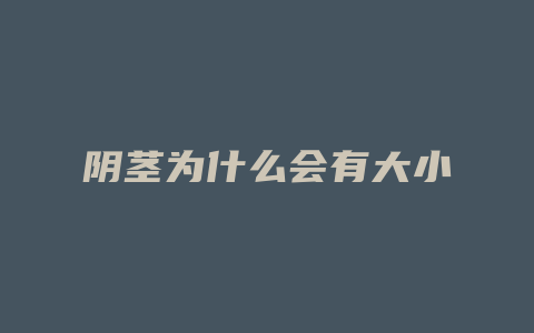 阴茎为什么会有大小