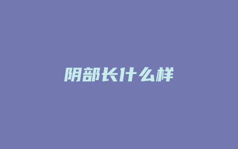 阴部长什么样