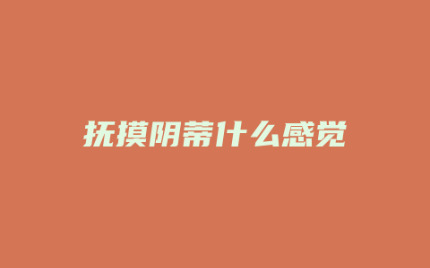 抚摸阴蒂什么感觉