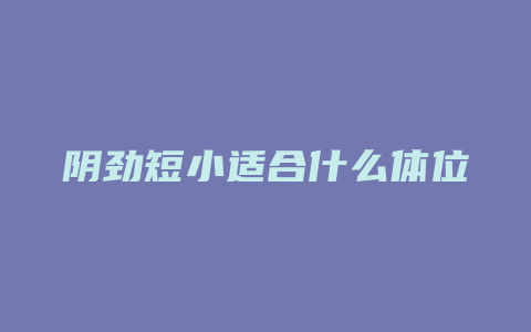 阴劲短小适合什么体位