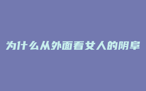 为什么从外面看女人的阴阜好高啊