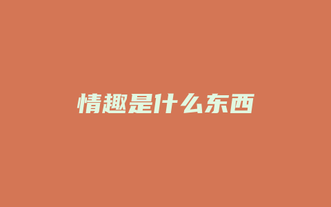 情趣是什么东西