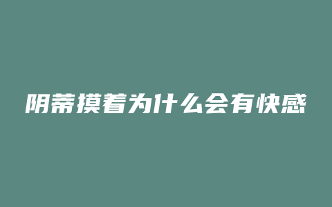 阴蒂摸着为什么会有快感