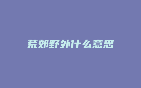 荒郊野外什么意思