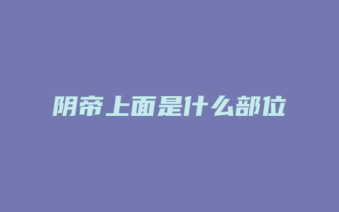 阴帝上面是什么部位