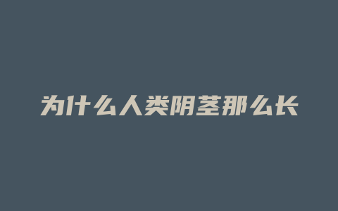 为什么人类阴茎那么长